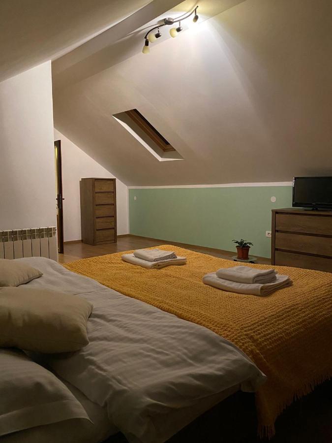 Grandma's Holiday home Sacele